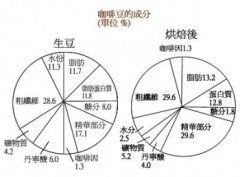 Popular science | Nutrition and composition analysis of coffee beans