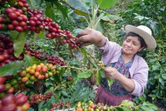 Spend 70% of our labor just to make a cup of coffee in our hands-- the great her.