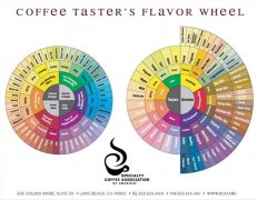 SCAA unveils a new coffee flavor ring Dictionary and flavor ring exist independently