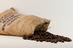 Do you know the cold knowledge about Blue Mountain Coffee?