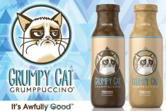 Grumpy Cat enters the coffee industry and launches bottled coffee beverage 