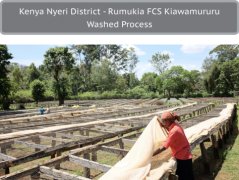 Kenya Doudou-Qiyawaluru Cooperative-description of 