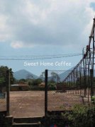 Description of coffee flavor and flavor in Vaca Cooperative, Rwanda-Budalay Province