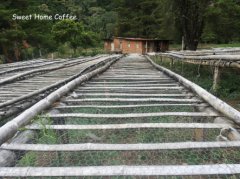 Description of flavor, taste and aroma of washed coffee certified organically at Casa Luiz Manor in Panama