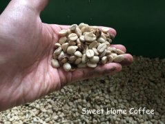 Description of flavor, taste and aroma of Ethiopian water-washed lim coffee