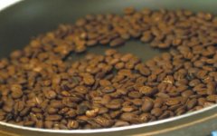 [magic beans; ground beans] roasted coffee beans, charming magic
