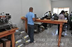 Description of the flavor and aroma of the best Panamanian batch Valentina Manor washed Rosa Coffee