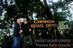 Panama Carmen SHB Bid Rating Sunburn BOP9 Coffee Flavor Taste Aroma Description