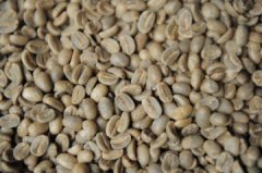 Description of flavor and flavor of washed iron pickup coffee from Haiti in the Caribbean