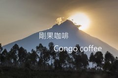 Description of flavor and taste of coffee beans in batches of Congo Kavisa Lucky bid