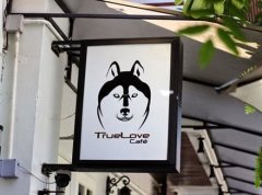 The heart is big enough! How dare you open a Husky Cafe! Netizen: this shop … Hasn't it been torn down yet?