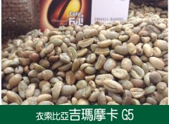 2017 description of flavor and aroma of Ethiopian Gima mocha G5 coffee