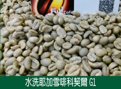 Ethiopian washed Yega Snow Coffee Cochel (Touchalei) G1 Coffee Flavor Taste