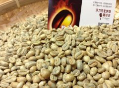 Ethiopian Yerga Sherphine Waterconga Royal Select G1 Sun-baked Coffee Flavor Taste Aroma Description