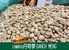 Ethiopia 90 + LEVEL UP tanning Danqi Meng Danch Meng Coffee Flavor and Taste