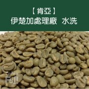 Description of AA Coffee Flavor and Flavor in Ichuga processing Plant in Lili, Kenya