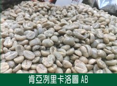 Description of AB Coffee Flavor and Flavor in Karuotu processing Plant in Lili, Kenya