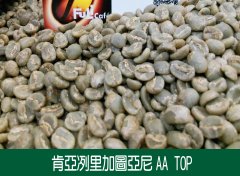 Description of Flavor and Taste of selected Coffee from Kenya Kenya AA FAQ Micro processing Plant