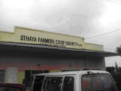 Description of PB Coffee Flavor and Flavor in Osaya Cooperative in Neri, Kenya