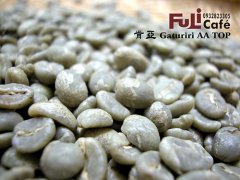 Description of flavor and flavor of multi-door Gaturiri AA TOP coffee in Kenya