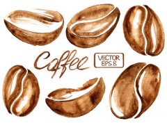 Scientific interpretation: the relationship between caffeine and taste