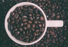 If the coffee beans are oily, it means they're stale? You may have misunderstood ~