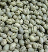 Description of the flavor and aroma of Guatemala Raminita Huashen water washed round bean coffee