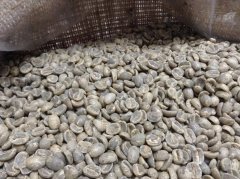 Guatemala Salt Warehouse Serena Manor Coffee Flavor Taste Aroma Description