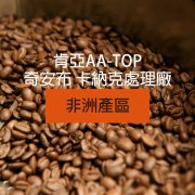 Description of flavor and flavor of shallow baked bean coffee from Qianbukanak treatment plant in AA, Kenya