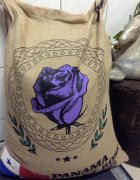 Description of flavor and aroma of purple rose 40% rose summer coffee in Pokui specialty area of Panama