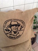 Costa Rica Tarazhu Panfilo Estate Agriverde Processing Plant White Honey Iron Bika Flavor