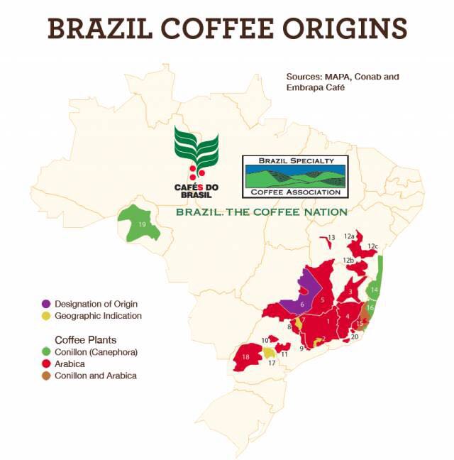 According to the Brazilian production area, the raw coffee beans in the South Minas Hilado region are all Arabica species.