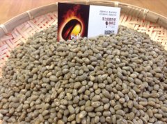 Description of three hand-selected coffee flavors and aromas of Mantenin round beans in Lindong District, Jiangsu Province