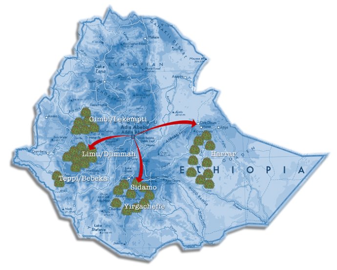 Harar Hara, an Ethiopian Ethiopia boutique coffee producing area, is an eastern Ethiopian producing area.