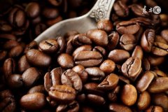 Austrian food importers and exporters aim at Chinese coffee market