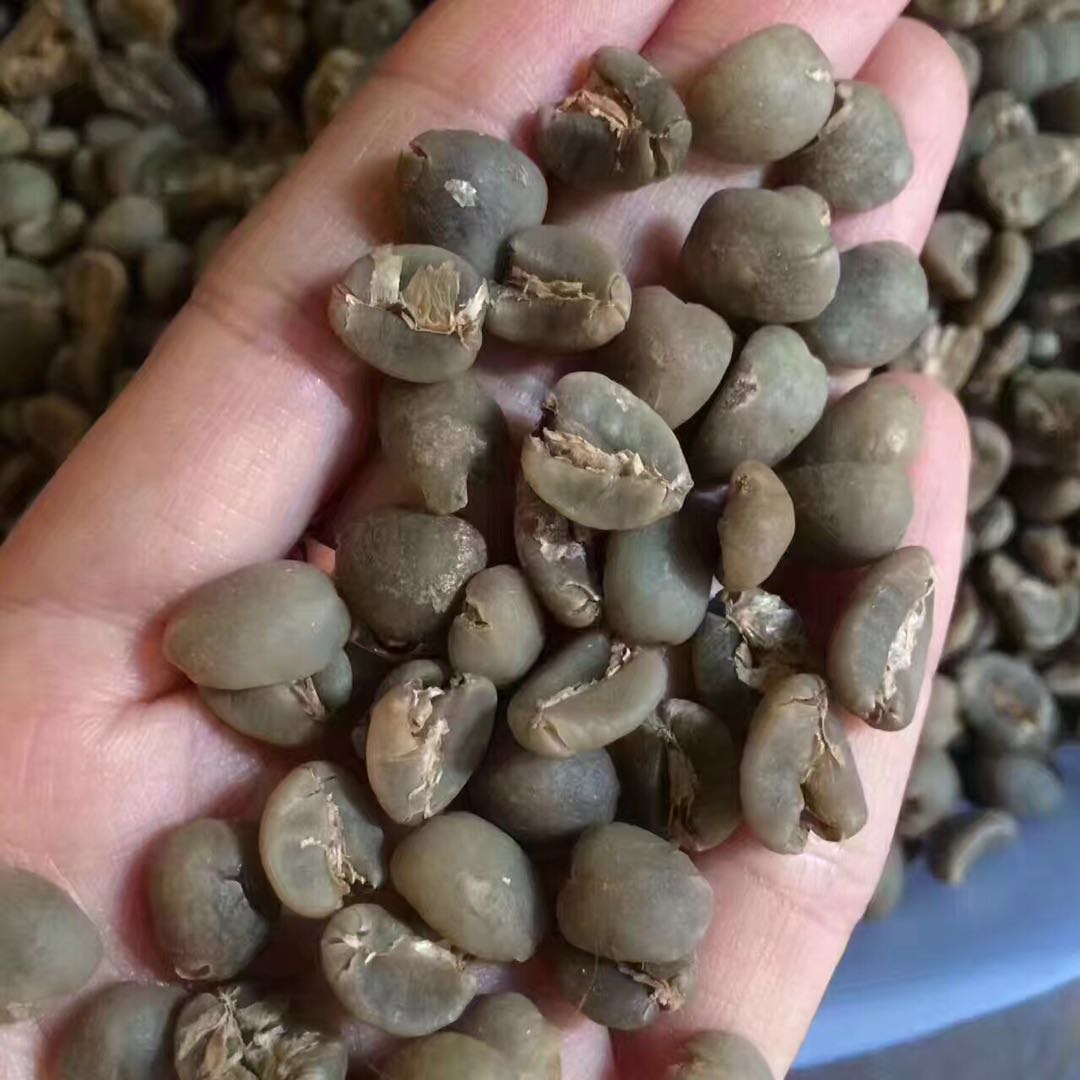 Price difference of Manning G1 Coffee Bean Gold Manning characteristics of Manning hand Coffee parameters