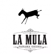 Panamanian mule manor introduces the best Panamanian BOP sunny mule of the La Mula2014 year