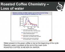 Professional coffee roasting | Analysis of water evapotranspiration during coffee roasting