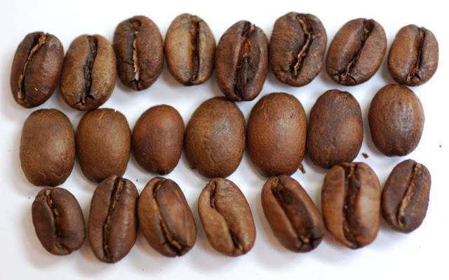 Professional coffee roasting | how should Rosa Geisha coffee be roasted?