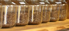 Talent makes a move! Teach you the secret of preserving coffee beans