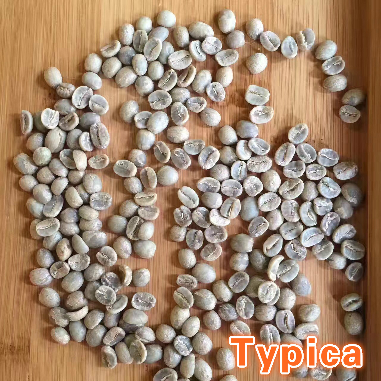 Yunnan small grain flower fruit mountain Typica iron pickup Arabica boutique coffee beans