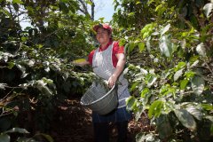 A cup of Fairtrade coffee gives coffee farmers in Central and South America a democratic dream.