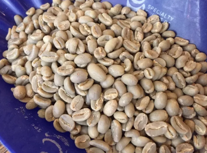 How do you bake it? How to adjust the curve of a water wash Sidamo?