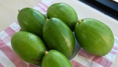 [recipe] make avocado lattes at home! A new way to drink coffee, wake up and keep in good health