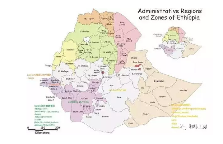 The introduction of the nine boutique producing areas in Ethiopia, the parameters of the Lion King hand Chong in Xidamo