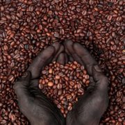 Are you sure you know what kind of coffee you're making? Direct trade in raw coffee beans