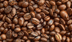 Practice beans for the treatment of expired coffee beans