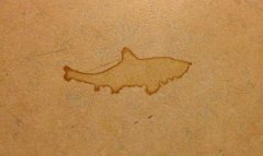 Even coffee stains love your shape! A collection of coffee stains with amazing coincidences (photo)