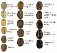Self-taught coffee bean roasting essential coffee roasting color card picture