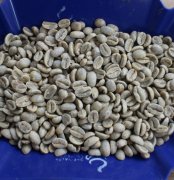 Introduction to the use of PROBAT Coffee Roaster in Germany